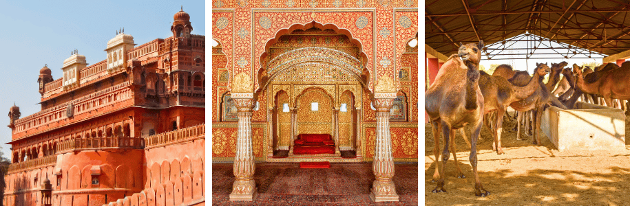 Bikaner