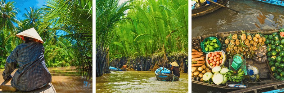Mekongi delta